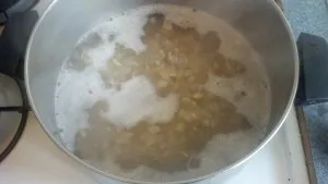 Boiling cashews on the stovetop for 45 minutes to an hour