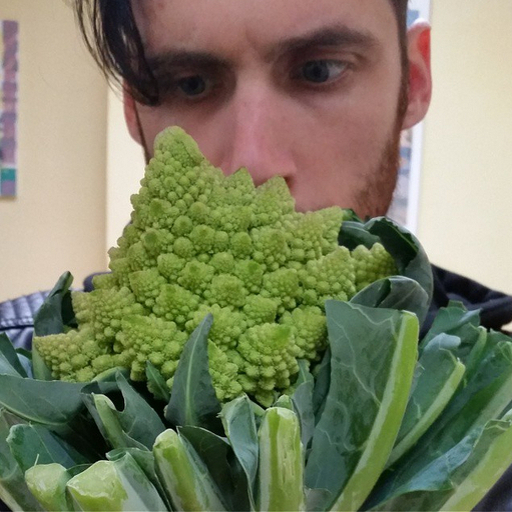 Me starting at romanesco broccoli